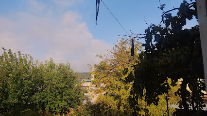 Ali TAŞKIRANLI kapak görseli