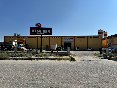 İSMAİL KESGİNER MOBİLYA & DEKORASYON kapak görseli