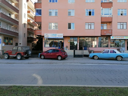 ASPOTEK MAKİNA SAN. VE TİC. LTD. ŞTİ (DALGIÇ POMPA) kapak görseli