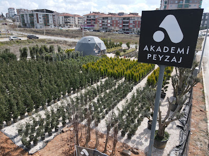 Akademi Peyzaj Tasarım Stüdyosu kapak görseli