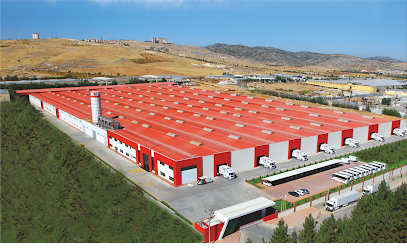 Işık Ahşap kapak görseli
