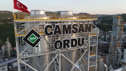 Çamsan Ordu Ağaç San. ve Tic. A.Ş. kapak görseli