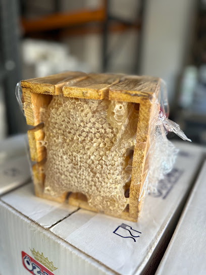 Agacci Ticaret kapak görseli
