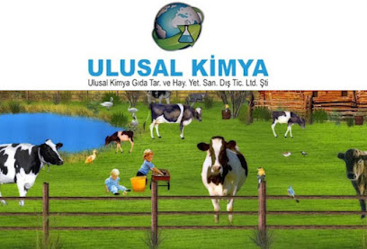 Ruminant Market kapak görseli