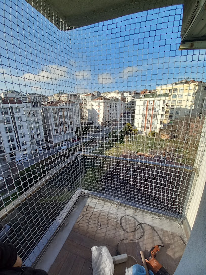 Kedi filesi kapak görseli
