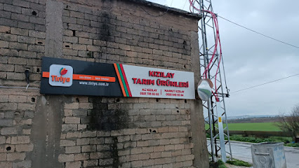 kızılay çırçır fabrikası kapak görseli