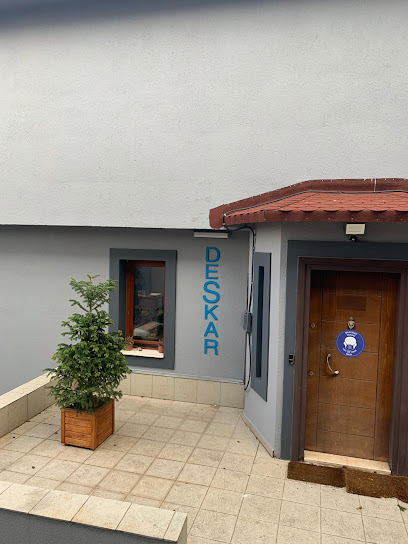 Deskar Teknik kapak görseli