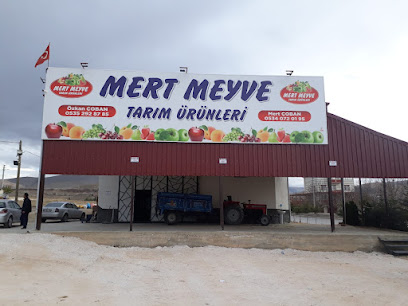 Mert Meyve Tarım Ürünleri kapak görseli