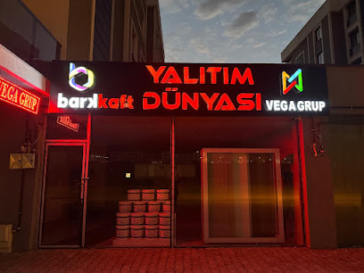 VEGA GRUP TEKNOLOJİ kapak görseli