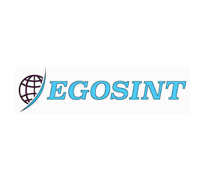 Egosint International kapak görseli