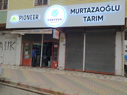 Murtazaoğlu Tarim kapak görseli