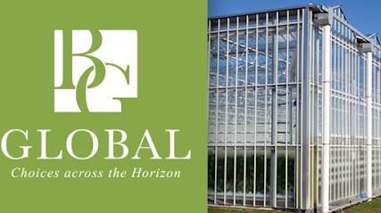 BG Global B.V. kapak görseli