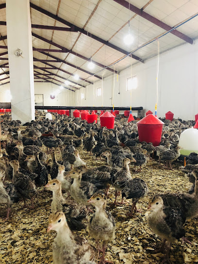 Atmaca Hindicilik LTD .ŞTİ kapak görseli