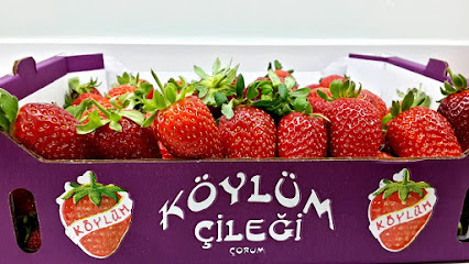 Bessem Tarım Gıda ve Hayvancılık Ltd. Şti. kapak görseli