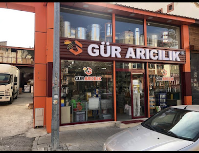 Gür Arıcılık kapak görseli