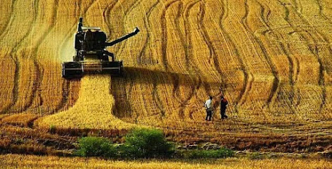 Yaşar Değirmen & Makina kapak görseli