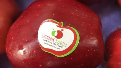 Üçsem Gıda İç ve Dış Ticaret [Çelebi Fruit Co.] kapak görseli
