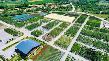 Sakarya Botanical Industry and Trade Joint Stock Company kapak görseli