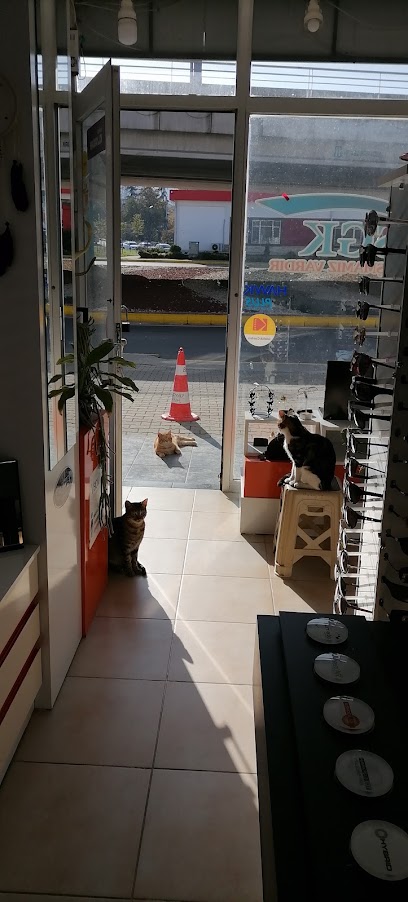 Beyaz Optik Değirmendere kapak görseli