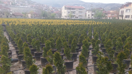 Metin Fidancılık kapak görseli