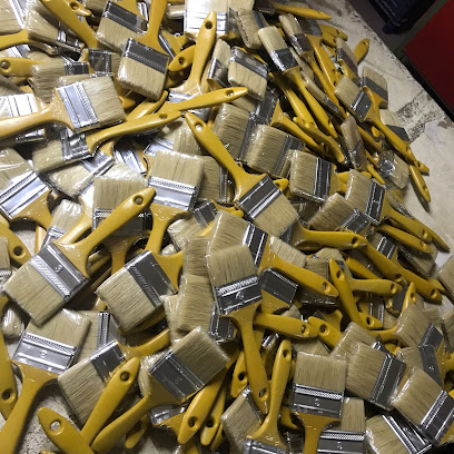 Türkiye Brushes kapak görseli