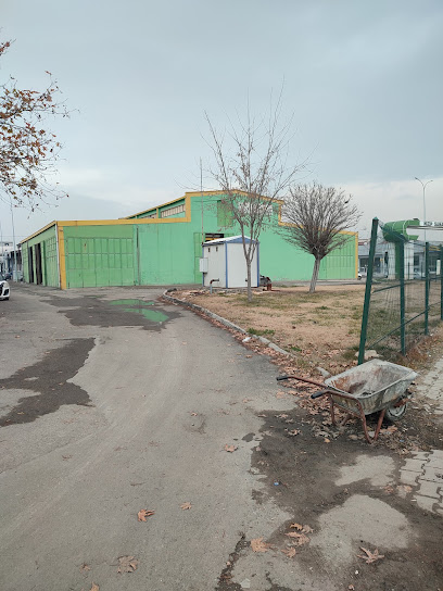 Denizsan Demir Çelik kapak görseli