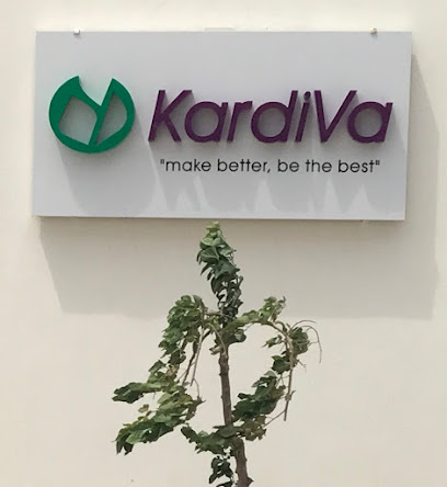 KardiVa Medical, Inc. kapak görseli