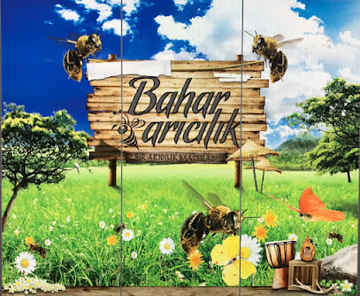 Bahar Arıcılık kapak görseli