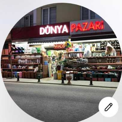 Dünya Pazarı kapak görseli