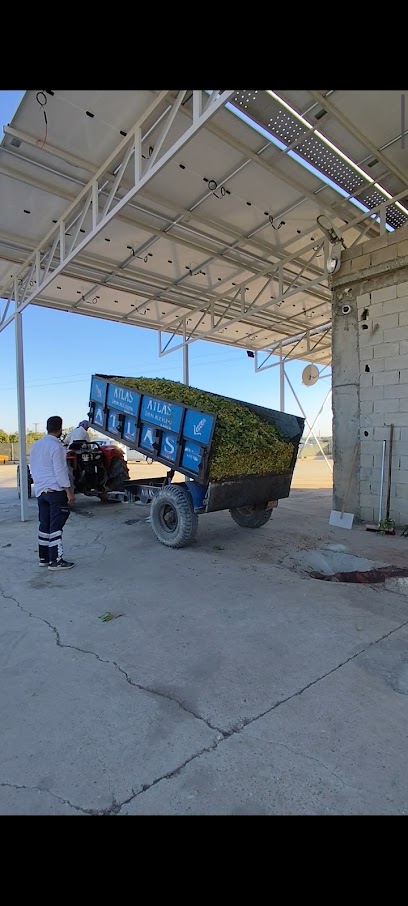 Yıldırım Fıstık ve Zeytinyağı İşletme Fabrikası kapak görseli