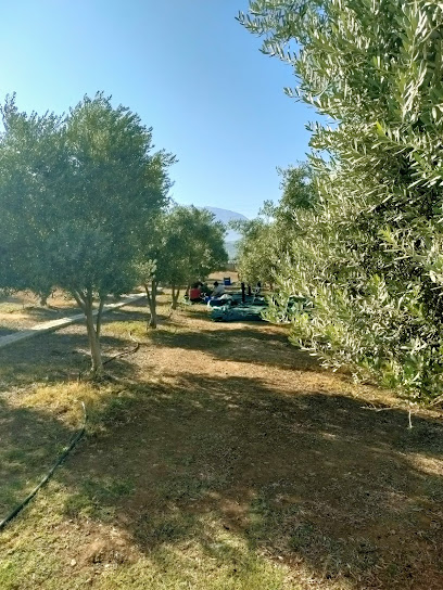 Çakır's Farm kapak görseli