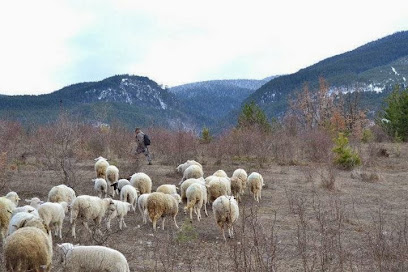 Okçular DAC besi Çiftliği-2010 kapak görseli