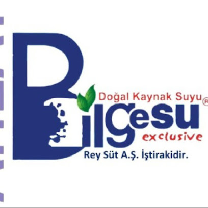 BİLGESU fabrikası kapak görseli
