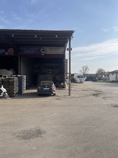 DADIKHI KARDEŞLER kapak görseli