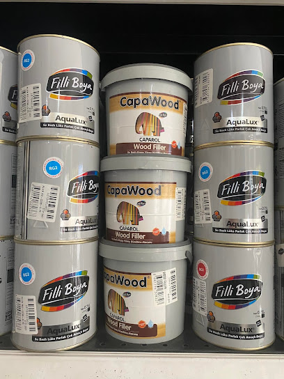 Filli Boya - Dilek Yapı Market kapak görseli