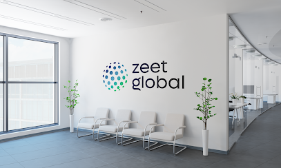 Zeet Global kapak görseli