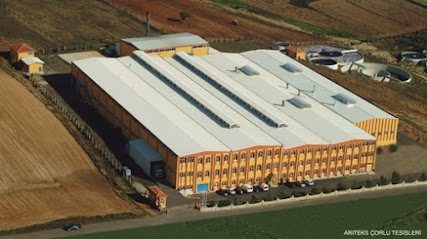 Arıteks Boyacılık Ticaret ve Sanayi AŞ (Corlu) kapak görseli