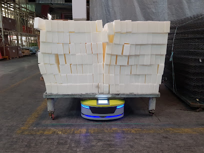 TRANSOLT Self-Driving Technologies kapak görseli