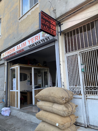 KAĞAN COŞKUNER FINDIK kapak görseli