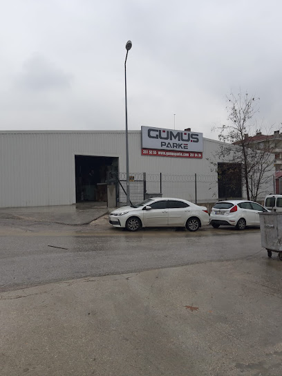 Gümüş Parke (DEPO) kapak görseli