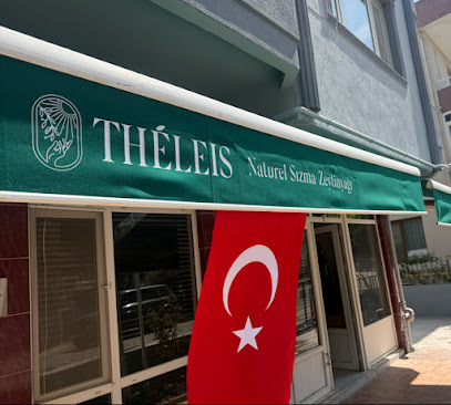 THELEIS kapak görseli