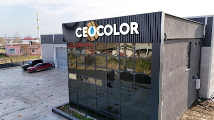 CEOCOLOR kapak görseli