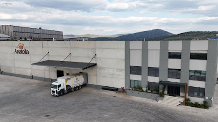 Anatolia Packaging kapak görseli