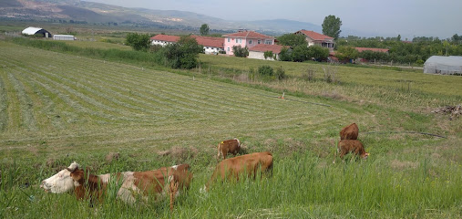 SIĞIRCIOĞLU ÇİFTLİĞİ kapak görseli