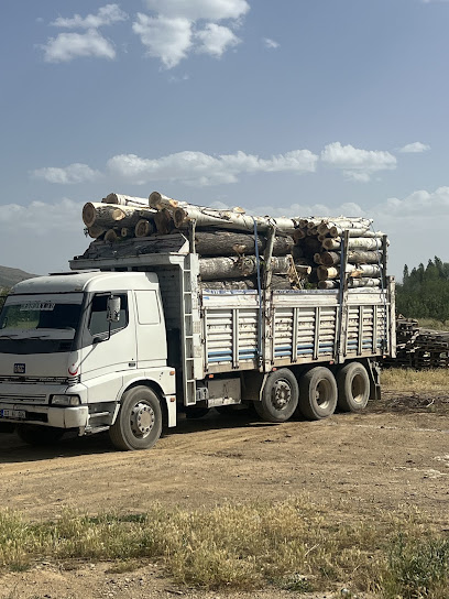 SARIGÜL TİCARET kapak görseli