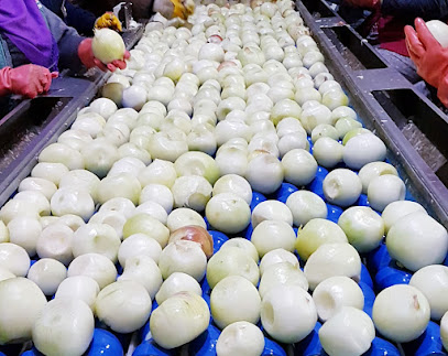 Trk Agro Tar Ür. San .Tic Ltd.Şti kapak görseli