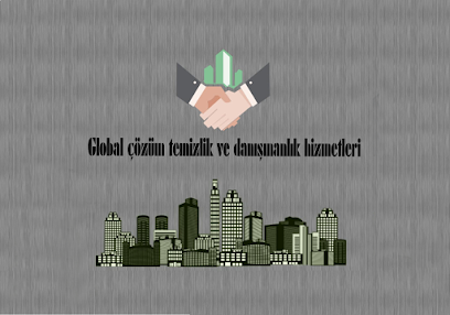 Global Çözüm Temizlik Danışmanlık kapak görseli