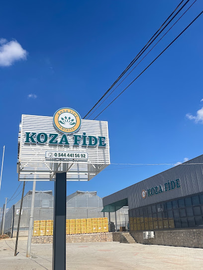 Koza Fide kapak görseli