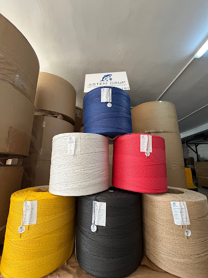 ASTEM GRUP KAĞIT AMBALAJ MAKİNA SAN TİC LTD ŞTİ kapak görseli