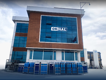 OKNAL GROUP kapak görseli